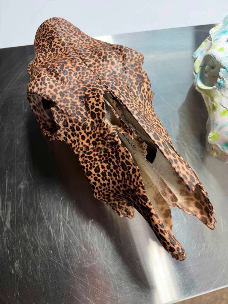 Animal skull finished in a leopard print hydrographic film